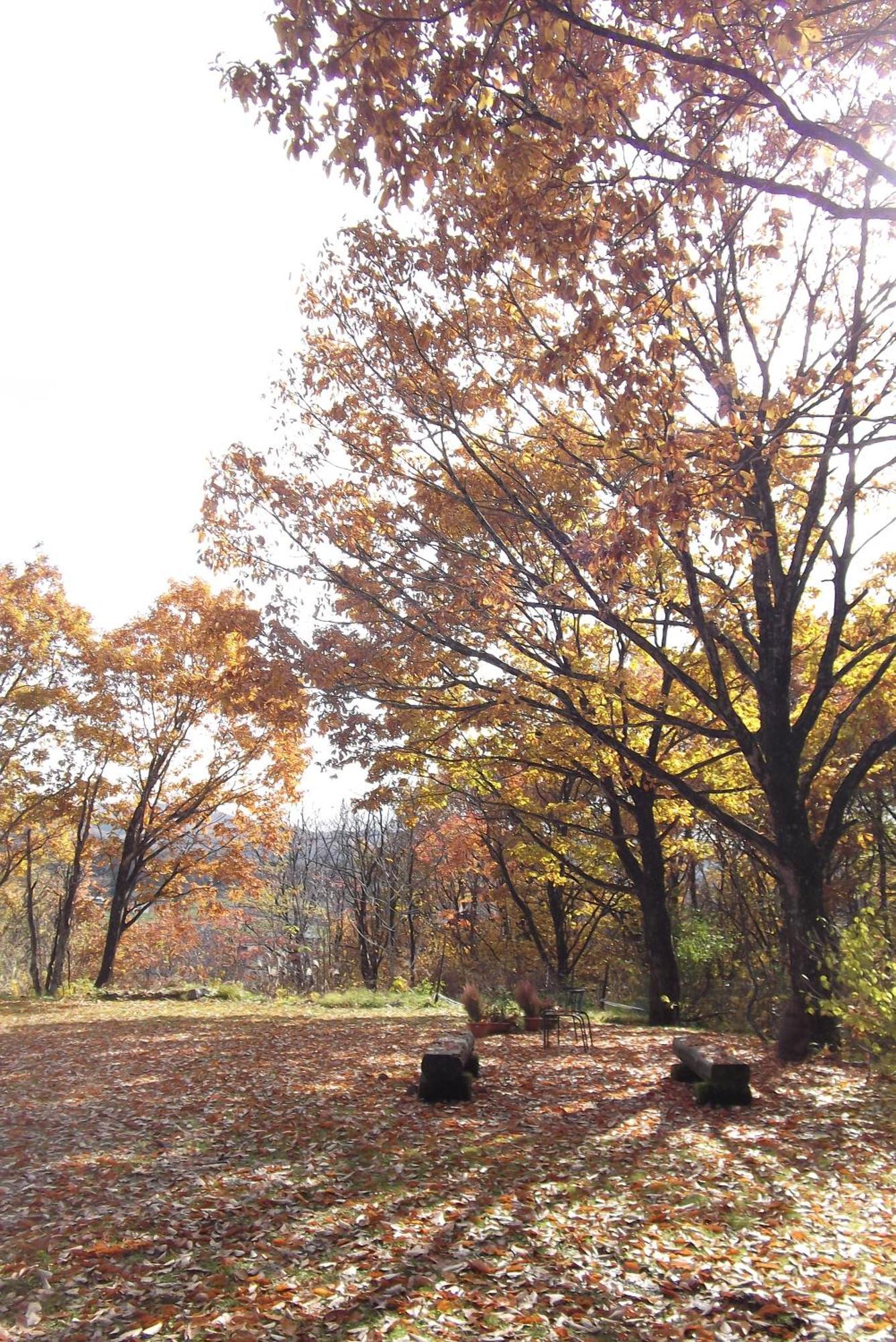 Pension Green Lake